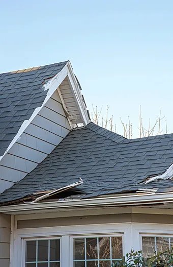 Storm Damage Repair X